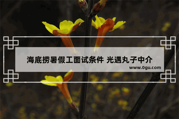 海底捞暑假工面试条件 光遇丸子中介