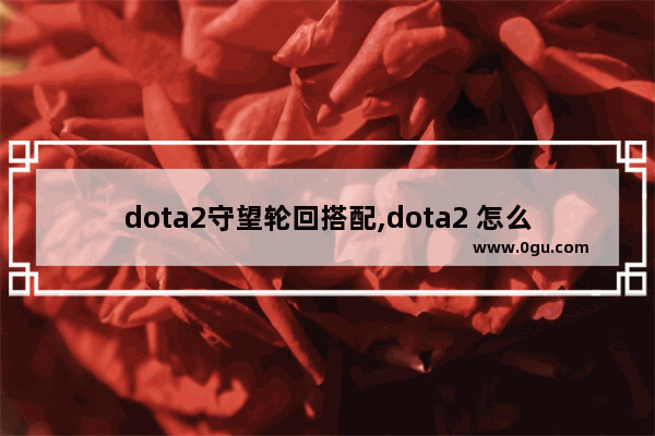 dota2守望轮回搭配,dota2 怎么 轮回