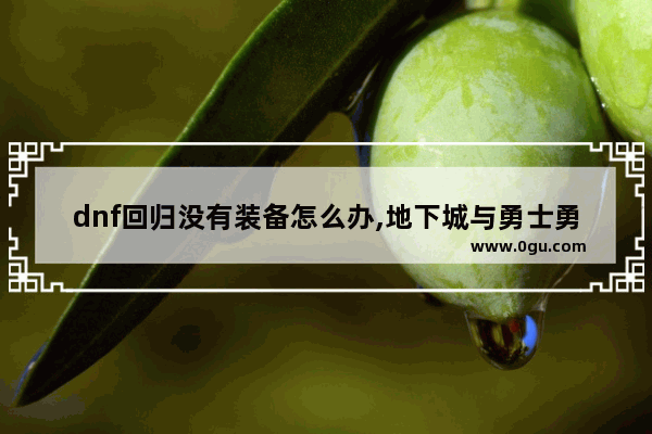 dnf回归没有装备怎么办,地下城与勇士勇者装备没了
