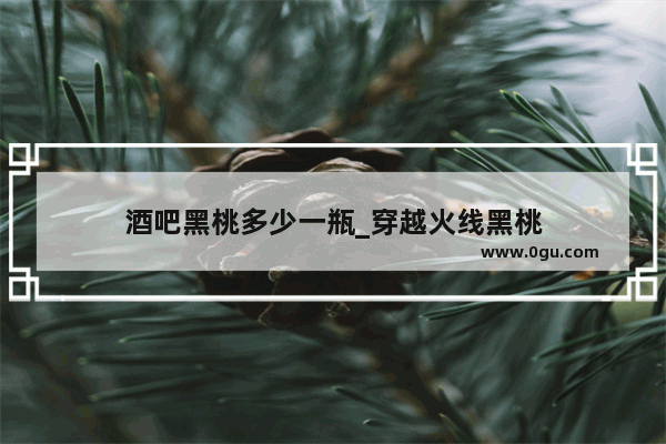 酒吧黑桃多少一瓶_穿越火线黑桃