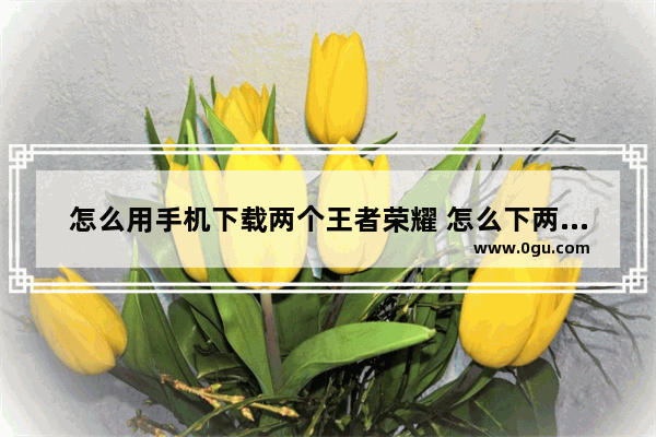 怎么用手机下载两个王者荣耀 怎么下两个王者荣耀