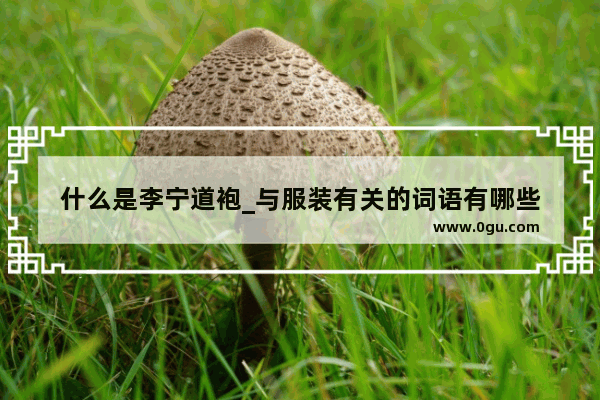 什么是李宁道袍_与服装有关的词语有哪些