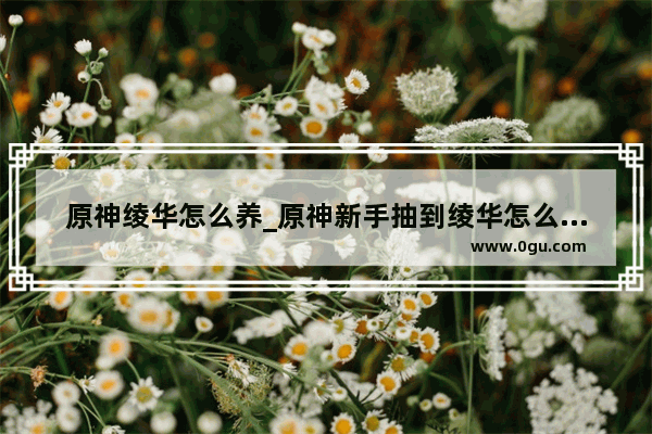 原神绫华怎么养_原神新手抽到绫华怎么培养