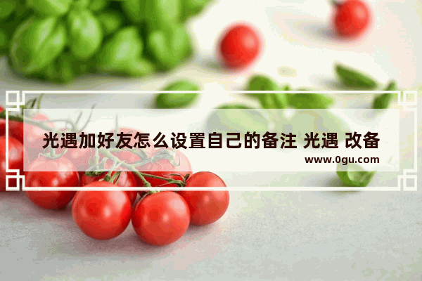 光遇加好友怎么设置自己的备注 光遇 改备注