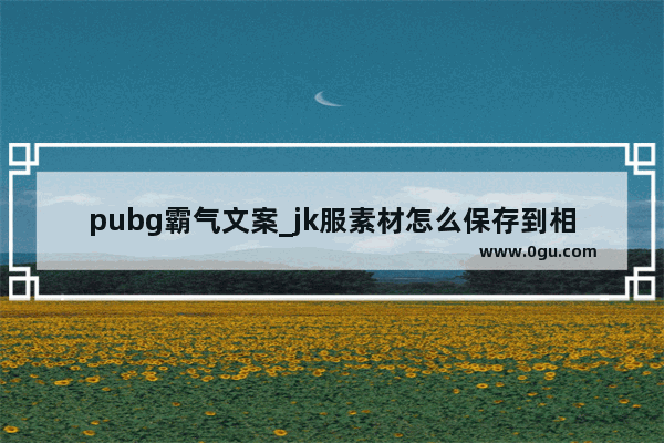 pubg霸气文案_jk服素材怎么保存到相册