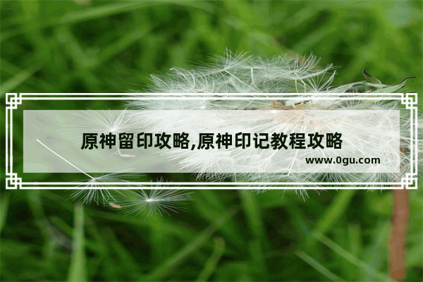 原神留印攻略,原神印记教程攻略