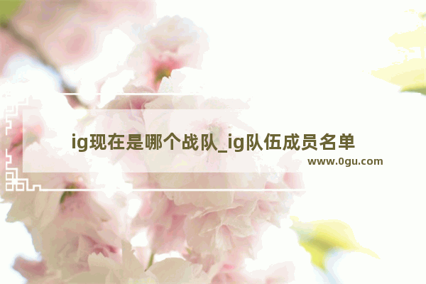 ig现在是哪个战队_ig队伍成员名单