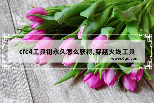 cfc4工具钳永久怎么获得,穿越火线工具钳