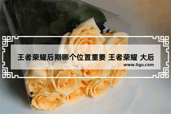 王者荣耀后期哪个位置重要 王者荣耀 大后期