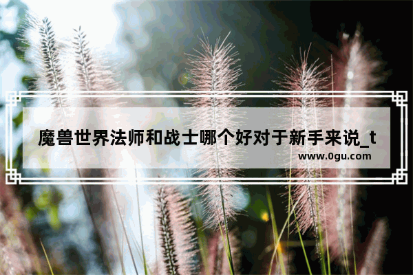 魔兽世界法师和战士哪个好对于新手来说_tbc法师怎么打战士