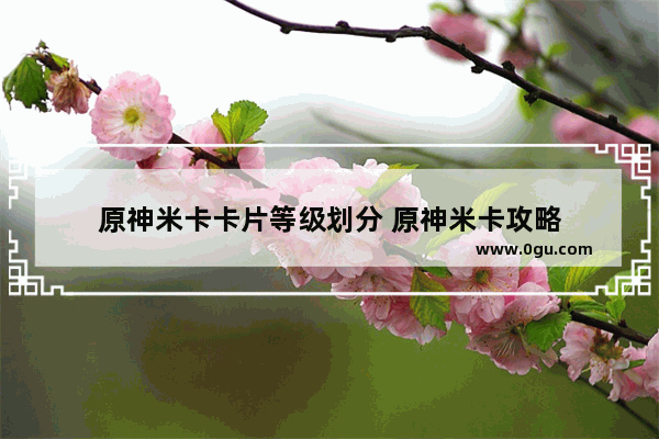 原神米卡卡片等级划分 原神米卡攻略