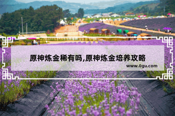原神炼金稀有吗,原神炼金培养攻略