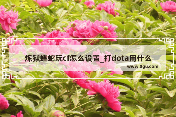 炼狱蝰蛇玩cf怎么设置_打dota用什么键盘鼠标 好啊