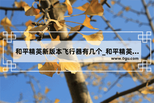 和平精英新版本飞行器有几个_和平精英洛天依有飞行器吗