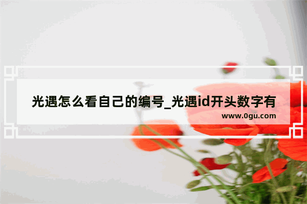 光遇怎么看自己的编号_光遇id开头数字有什么区别嘛