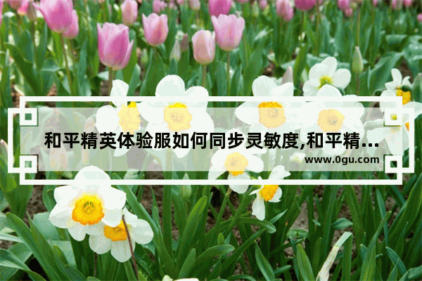 和平精英体验服如何同步灵敏度,和平精英赛事灵敏度