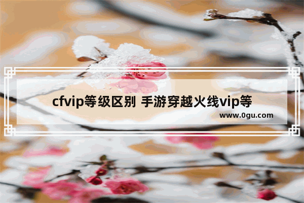 cfvip等级区别 手游穿越火线vip等级