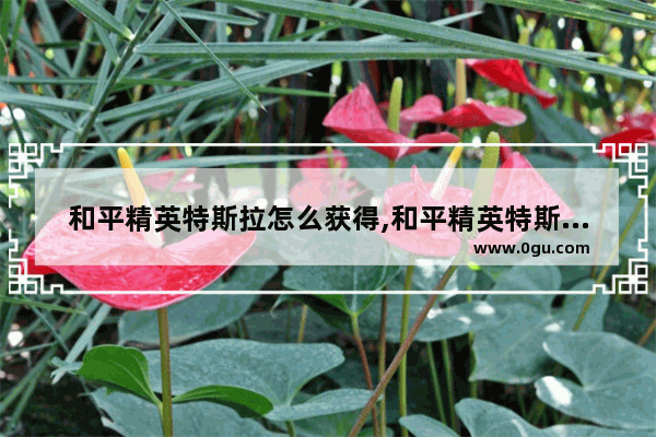 和平精英特斯拉怎么获得,和平精英特斯拉体验兑换码