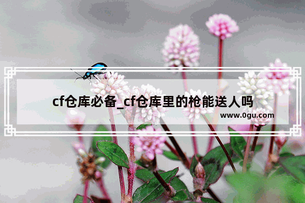 cf仓库必备_cf仓库里的枪能送人吗