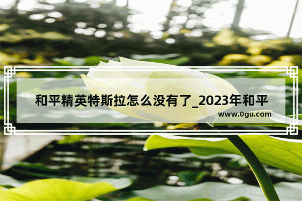 和平精英特斯拉怎么没有了_2023年和平精英特斯拉会不会返场