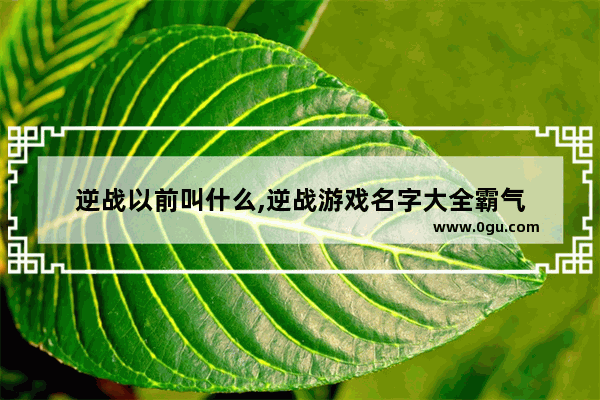逆战以前叫什么,逆战游戏名字大全霸气