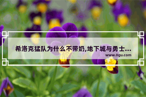希洛克猛队为什么不带奶,地下城与勇士希洛克是什么