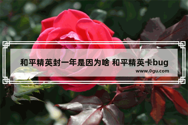 和平精英封一年是因为啥 和平精英卡bug会封号么