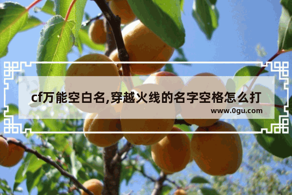 cf万能空白名,穿越火线的名字空格怎么打