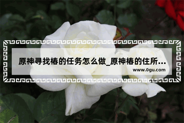 原神寻找椿的任务怎么做_原神椿的住所怎么进去