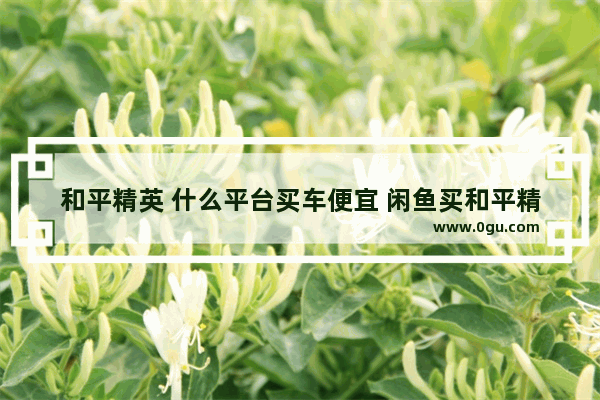 和平精英 什么平台买车便宜 闲鱼买和平精英特斯拉