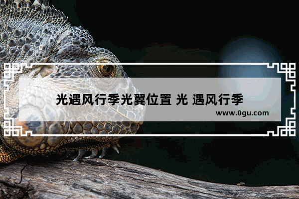 光遇风行季光翼位置 光 遇风行季