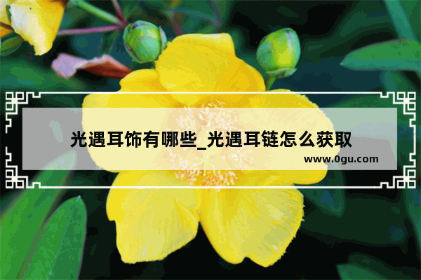 光遇耳饰有哪些_光遇耳链怎么获取