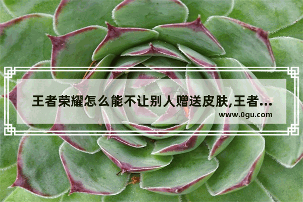 王者荣耀怎么能不让别人赠送皮肤,王者荣耀皮肤怎么拒收