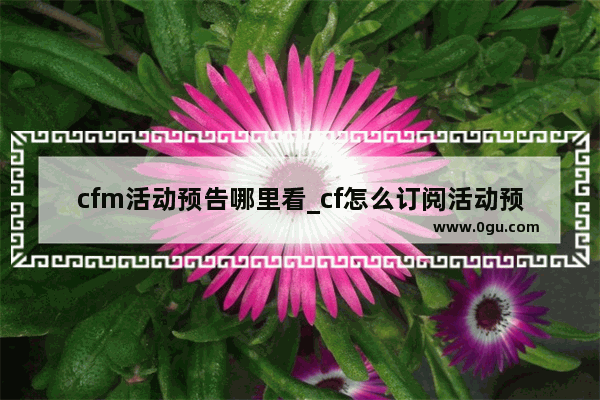 cfm活动预告哪里看_cf怎么订阅活动预告