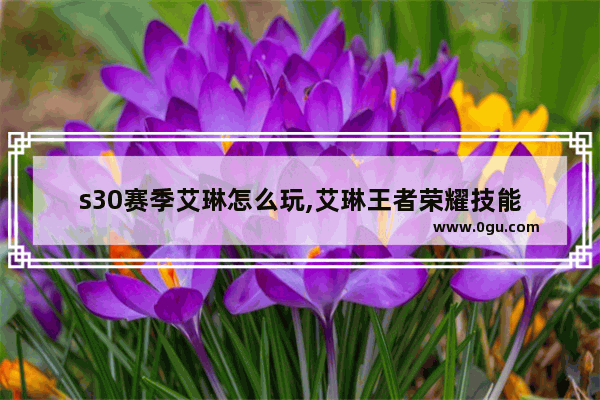 s30赛季艾琳怎么玩,艾琳王者荣耀技能