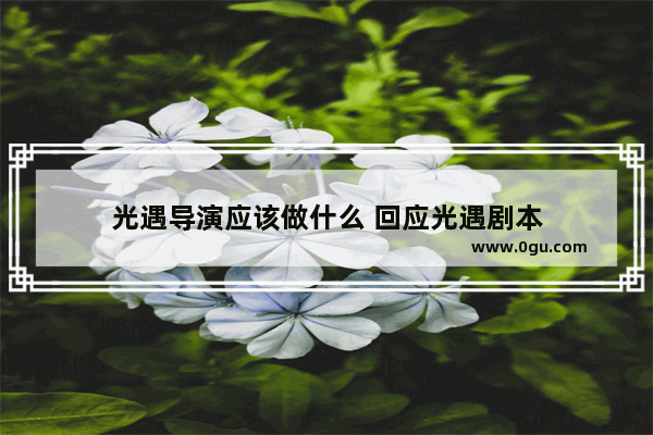 光遇导演应该做什么 回应光遇剧本