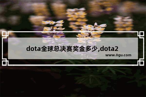 dota全球总决赛奖金多少,dota2 ti7不朽2
