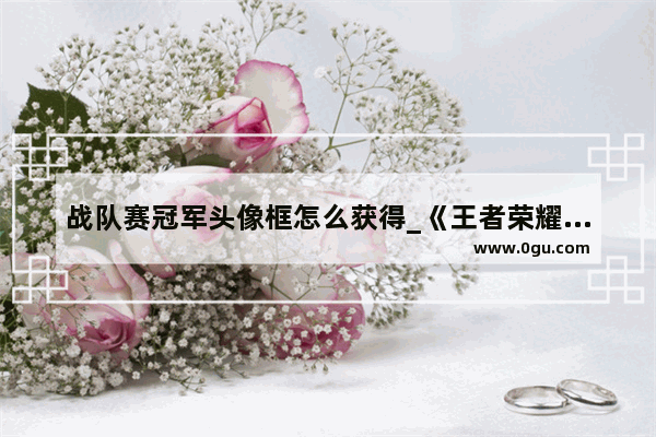 战队赛冠军头像框怎么获得_《王者荣耀手游》新版战队赛头像框怎么获得