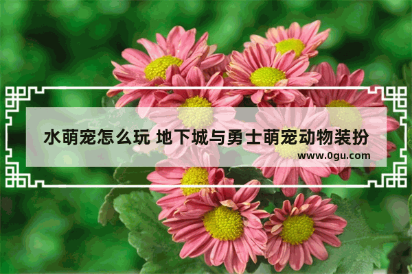水萌宠怎么玩 地下城与勇士萌宠动物装扮