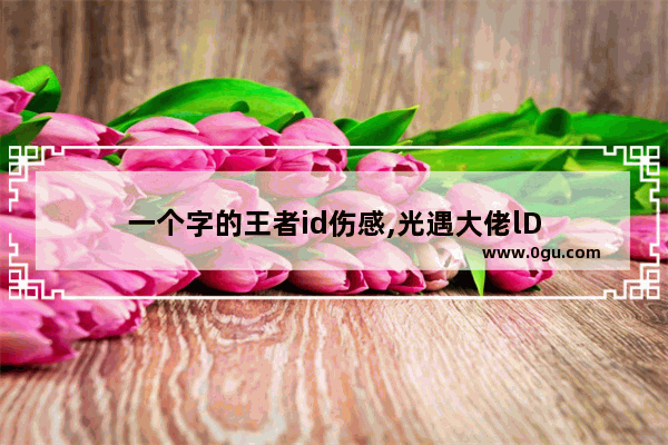 一个字的王者id伤感,光遇大佬lD