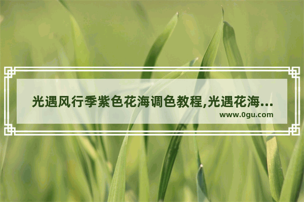 光遇风行季紫色花海调色教程,光遇花海软件