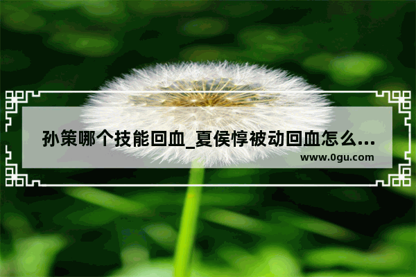 孙策哪个技能回血_夏侯惇被动回血怎么触发