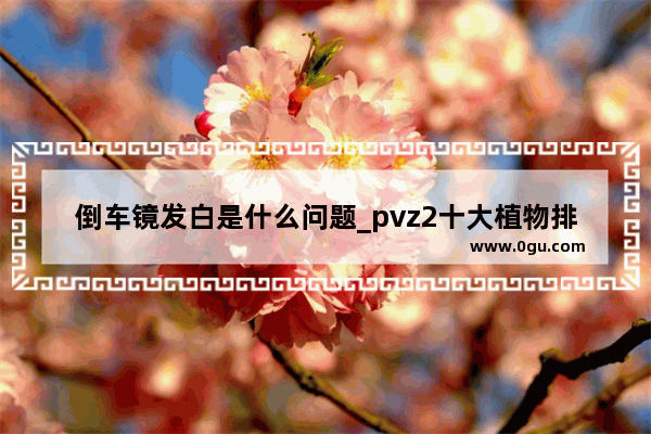 倒车镜发白是什么问题_pvz2十大植物排行榜