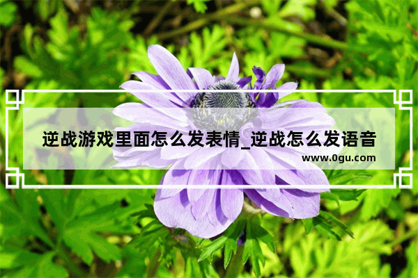 逆战游戏里面怎么发表情_逆战怎么发语音