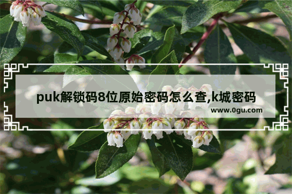 puk解锁码8位原始密码怎么查,k城密码是多少和平精英