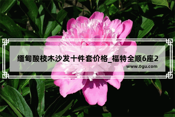 缅甸酸枝木沙发十件套价格_福特全顺6座2022款自动挡落地价