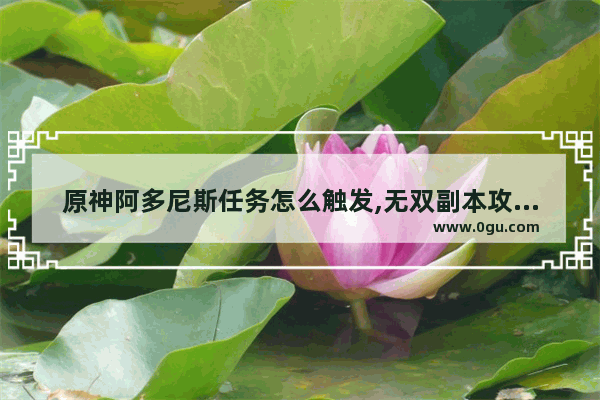 原神阿多尼斯任务怎么触发,无双副本攻略原神