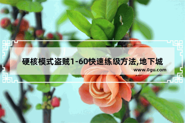 硬核模式盗贼1-60快速练级方法,地下城与勇士最快刷怪技巧