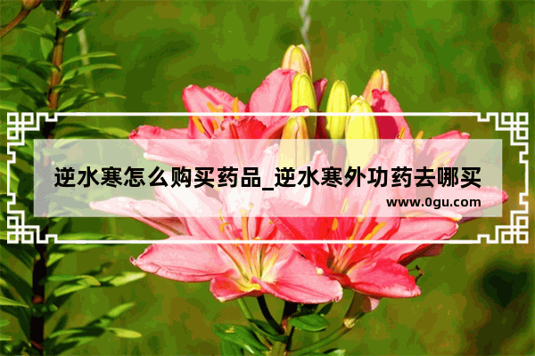 逆水寒怎么购买药品_逆水寒外功药去哪买