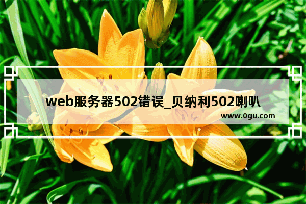 web服务器502错误_贝纳利502喇叭线在什么位置